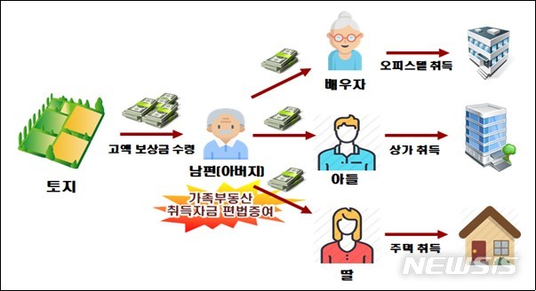 [세종=뉴시스] 국세청에 적발된 부동산 임대업자 A씨의 사례. (자료=국세청 제공)