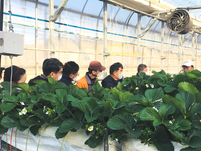 [장성=뉴시스] 전남 장성군이 운영하는 귀농·귀촌인 멘토단이 예비귀농인을 대상으로 스마트팜에 대해 설명하고 있다. (사진=장성군 제공) 2021.05.13. photo@newsis.com *재판매 및 DB 금지