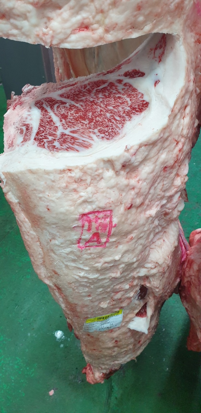 [함양=뉴시스] 함양군 수동면 정무섭씨의 한우 생체. *재판매 및 DB 금지