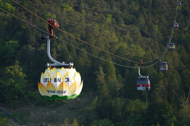 [통영=뉴시스] 신정철 기자= 불기 2565년 부처님오신날을 앞두고 경남 통영시 밤하늘에 케이블카 연등이 빛을 발하고 있다.높이 4.5m에 띄워진 세계 최대 크기의 연등모양 케이블카 2대가 부처님 오신 날을 앞두고 지난 14일부터 통영의 밤하늘을 밝히고 있다.(사진=통영관광개발공사 제공).2021.05.17. photo@newsis.com *재판매 및 DB 금지