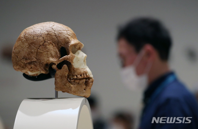 [서울=뉴시스]고승민 기자 = 지난 2021년 서울 국립중앙박물관에서 열린 기획특별전 '호모 사피엔스 : 진화∞ 관계&미래?' 언론공개회에서 참가자가 전시를 살펴보고 있다. 2021.05.17. kkssmm99@newsis.com