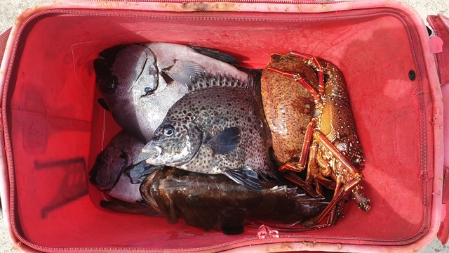 ⓒ제주지방해양경찰청 *재판매 및 DB 금지