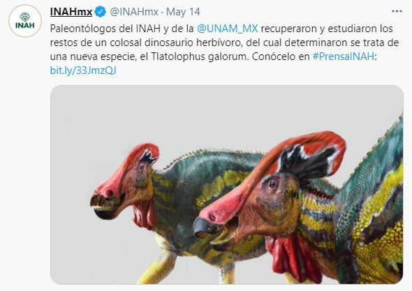 [서울=뉴시스]멕시코 국립인류학역사연구소(INAH)가 공개한 틀라톨로푸스 갈로룸(Tlatolophus galorum). (사진=INAH 갈무리) 2021.05.18. *재판매 및 DB 금지