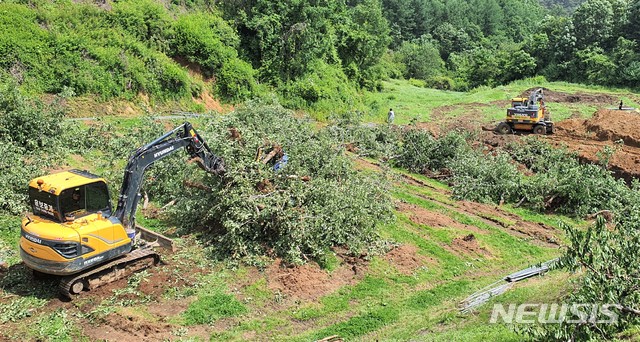 [충주=뉴시스]이병찬 기자 = 과수화상병이 발생한 충북 충주시 산척면의 한 과수원에서 25일 매몰작업이 진행되고 있다. 2021.05.25. bclee@newsis.com 