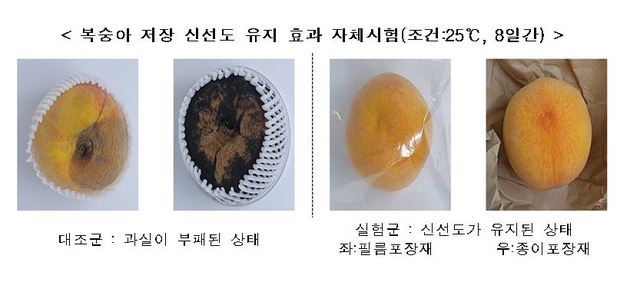 농식품부, A-벤처스에 항균 포장재 제조업체 '뉴로팩' 선정 