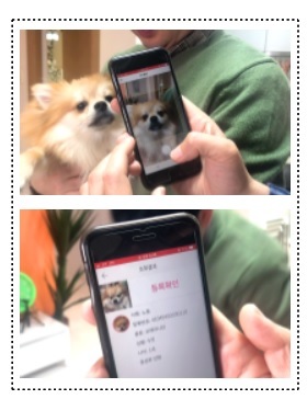▲샌드박스 심의위를 통과한 '블록펫'의 반려동물 등록확인 서비스