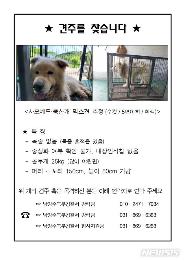 '남양주 살인견' 평소 온순…먹을것만 보면 '맹견 돌변' 