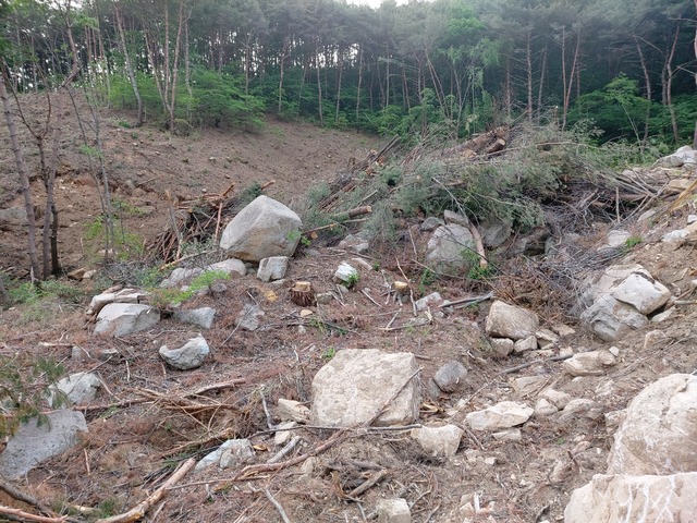 [대구=뉴시스]정창오 기자=대규모 산림훼손이 일어난 경북 청도군 각북면 오산리 산 141-1. 얼마전 까지만 해도 동물들의 생태축 역할을 했던 계곡이 흔적도 없이 메워져 있다. 2021.05.27. jco@newsis.com  *재판매 및 DB 금지