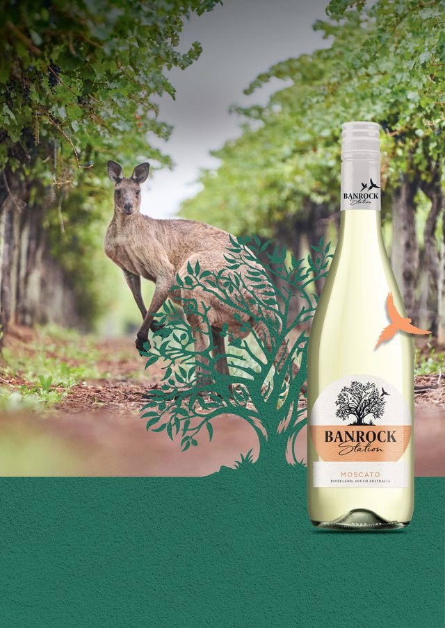 "와인도 친환경 제품이 잘 팔립니다"