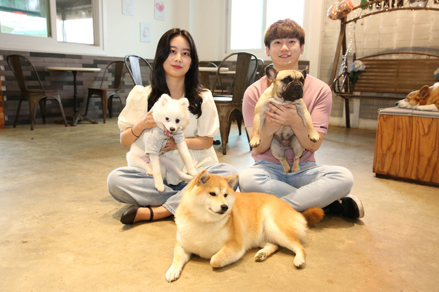 영진전문대, 내년 '펫케어과' 신설 *재판매 및 DB 금지