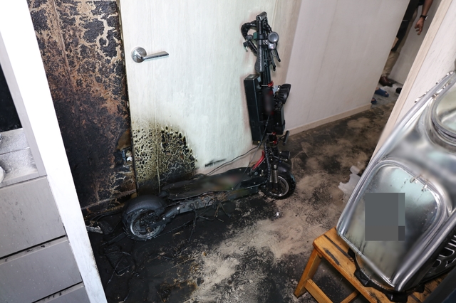  *재판매 및 DB 금지