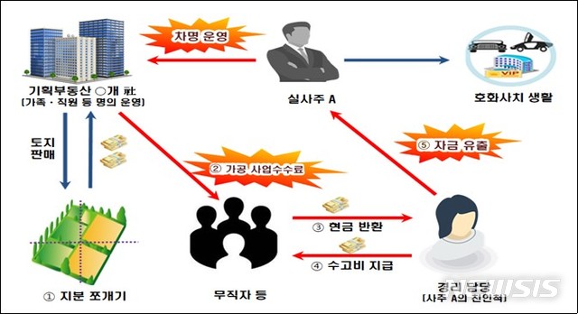 [세종=뉴시스] 국세청에 적발된 기획 부동산 운영자 B씨의 사례. (자료=국세청 제공)