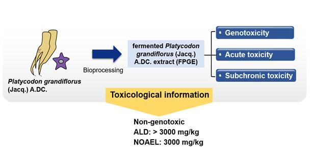 [대전=뉴시스] 생물전환 발효도라지의 안전성 평가 모식도. *재판매 및 DB 금지