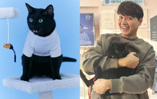 [서울=뉴시스] '박수홍과 반려묘 다홍이' . 2021.06.09. (사진=박수홍, 다홍이 인스타그램) photo@newsis.com *재판매 및 DB 금지