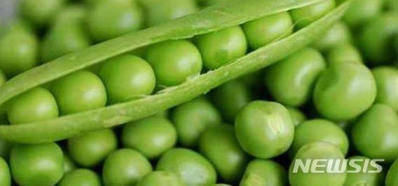 [알아봅시다]콩에 든 이소플라본, 남성 호르몬에 영향 줄까? 