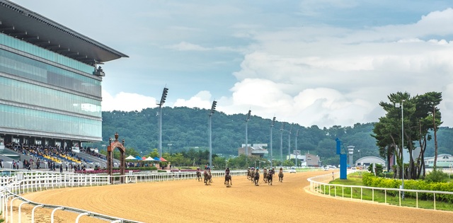 부산경남 경마공원 *재판매 및 DB 금지