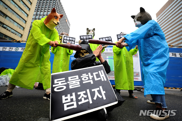 [서울=뉴시스]김선웅 기자 = 한국동물보호연합, 동물의목소리가 15일 오후 서울 종로구 세종대로에서 기자회견을 열고 동물학대 강력처벌을 촉구하고 있다. 2021.06.15. mangusta@newsis.com