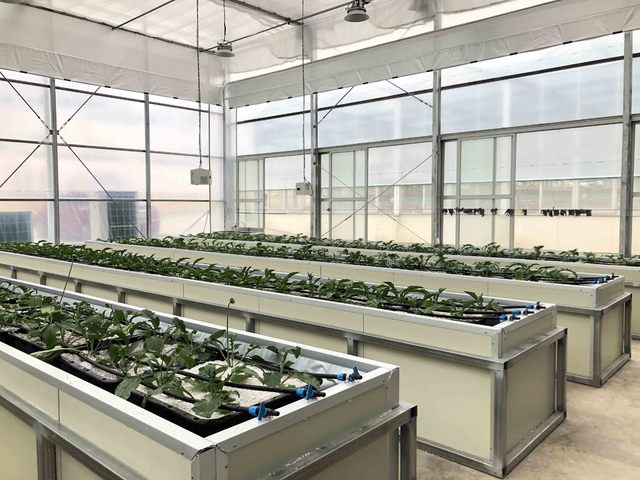 [부산=뉴시스]부산 동래구 동래원예고등학교에 조성된 스마트팜 온실. (사진=부산교육청 제공) *재판매 및 DB 금지