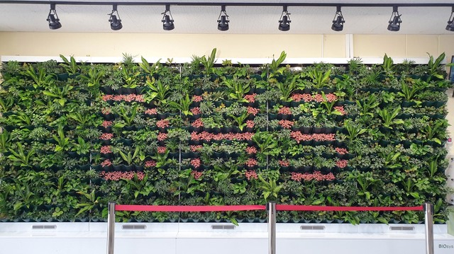 [부산=뉴시스]부산 동래구 동래원예고등학교에 조성된 벽면녹화 자동화 시스템 모습. (사진=부산교육청 제공) *재판매 및 DB 금지