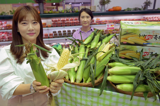 [서울=뉴시스]박주성 기자 = 20일 농협 하나로마트 양재점에서 모델들이 올해 첫 출하된 ‘찰옥수수’와 ‘초당옥수수’를 소개하고 있다. (사진=농협유통 제공).&nbsp; 2021.06.20. photo@newsis.com *재판매 및 DB 금지
