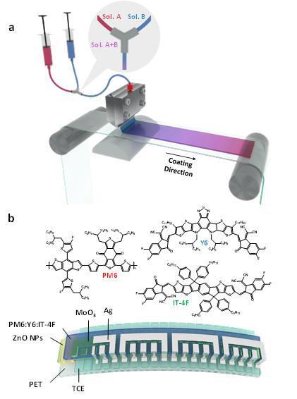 [울산=뉴시스] 구미현 기자 = UNIST는 에너지화학공학과 김진영 교수팀과 연방과학기술원 박두진 박사팀이 고성능 유기 태양전지 생산에 필요한 재료 성분비와 적층 두께 등을 예측하는 모델을 개발했다고 23일 밝혔다. 롤투롤 공정과 제작된 인쇄형 유기 태양전지 구조. 2021.06.23. (UNIST 제공) photo@newsis.com *재판매 및 DB 금지