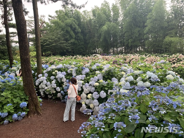 [서울=뉴시스]제주 휴애리. 2021.6.25. lovelypsyche@newsis.com