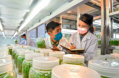 [서울=뉴시스] 농업연구원 농업생물학연구소에서-. 2021.06.26. (사진=노동신문 캡처) *재판매 및 DB 금지