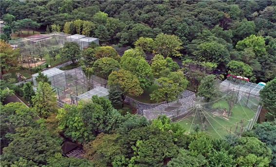 [서울=뉴시스] 서울대공원의 맹금사 모습. (사진=서울시 제공) 2021.07.02. photo@newsis.com *재판매 및 DB 금지