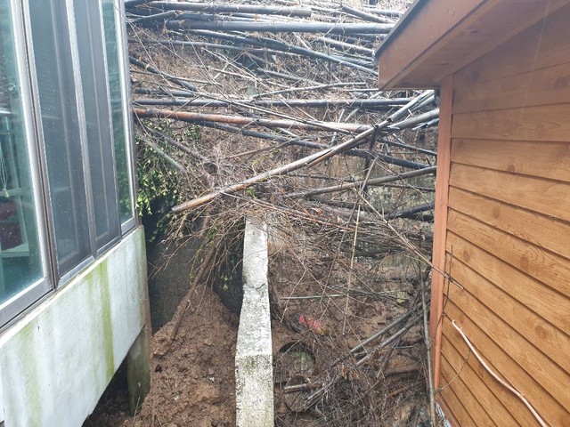 [창원=뉴시스] 강경국 기자 = 경남 창원시 의창구 대산면 가술리의 한 야산에서 6일 오전 토사가 내려와 대나무와 함께 쌓여 있다. (사진=창원소방본부 제공). 2021.07.06. photo@newsis.com *재판매 및 DB 금지