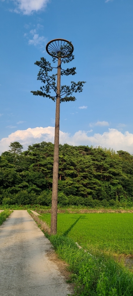 고창 황새 둥지탑 설치사진. *재판매 및 DB 금지