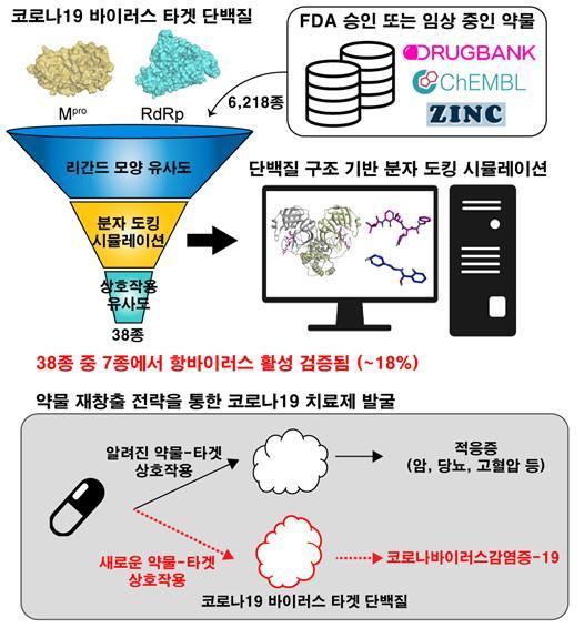 국내연구진, 코로나19 치료 후보물질 3종 발굴…렘데시비르보다 우수