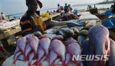[서울=뉴시스]시에라리온 지역 어선. (사진 = 현지매체 디오거나이저 캡처) 2021.07.09.photo@newsis.com