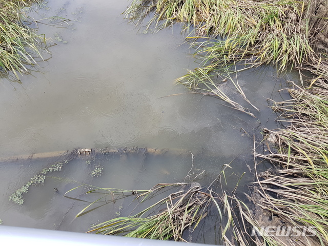 오염된 북면 신촌리 신천중앙배수로