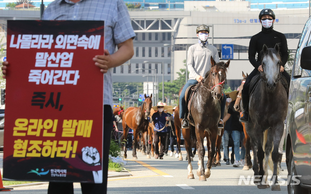 [세종=뉴시스] 강종민 기자 = 축산경마산업비상대책위원회가 13일 오전 정부세종청사 농림축산식품부 앞에서 온라인 마권발매 입법을 촉구하며 경주마 시위를 벌이고 있다. 2021.07.13. ppkjm@newsis.com