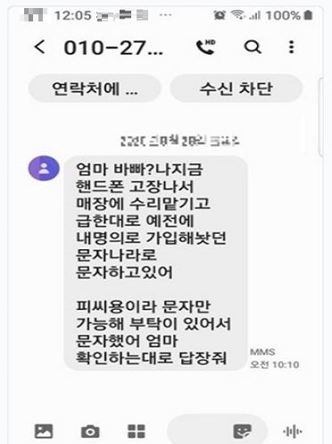 [인천=뉴시스] 김동영 기자 = 메신저 피싱 등에 실제로 사용된 문자 내용. 2021. 7.15. (사진=인천경찰청 제공) *재판매 및 DB 금지