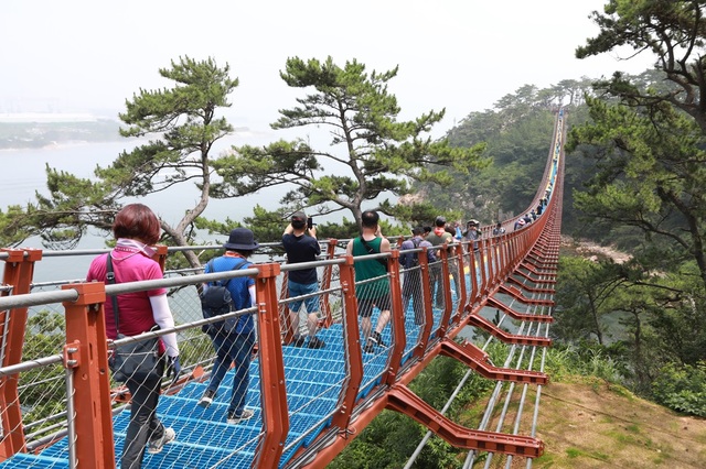 [울산=뉴시스] 박수지 기자 =울산시 동구 대왕암공원 출렁다리가 개통한 가운데 방문객들이 다리를 건너고 있다. 2021.07.18. photo@newsis.com. (사진=동구청 제공)  *재판매 및 DB 금지