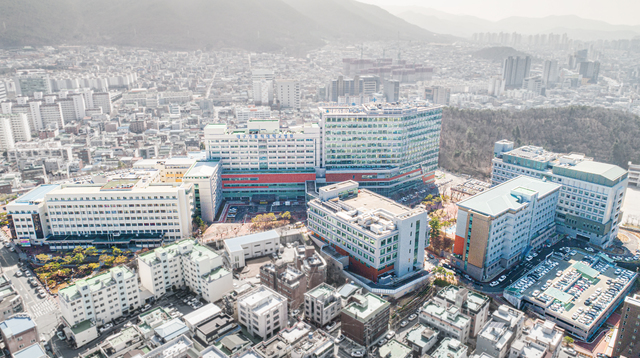 대구가톨릭대병원 *재판매 및 DB 금지