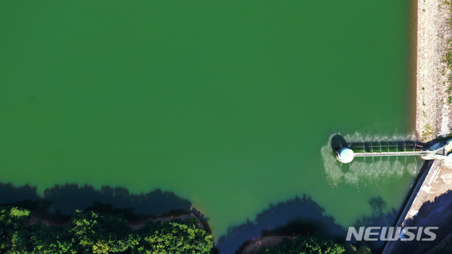 [수원=뉴시스] 김종택기자 = 연일 계속되는 폭염으로 전국 대부분의 저수지에 녹조현상이 발생한 22일 오후 경기도 수원시 장안구 광교저수지에 녹조방지 살수장치가 가동되고 있다. 2021.07.22. jtk@newsis.com