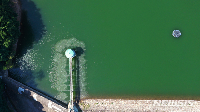 [수원=뉴시스] 김종택기자 = 연일 계속되는 폭염으로 전국 대부분의 저수지에 녹조현상이 발생한 22일 오후 경기도 수원시 장안구 광교저수지에 녹조방지 살수장치가 가동되고 있다. 2021.07.22. jtk@newsis.com