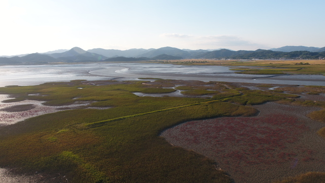 [서울=뉴시스]순천 갯벌 (사진 = 문화재청) 2021.7.26. photo@newsis.com