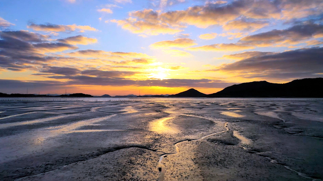 [신안=뉴시스] 지도 선도 갯벌. 