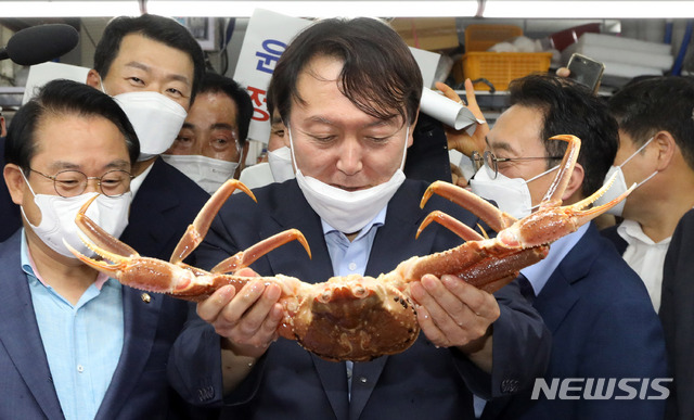 [부산=뉴시스] 야권 대권주자인 윤석열 전 검찰총장이 지난달 27일 부산 중구 자갈치시장을 방문, 킹크랩을 들어서 살펴보고 있다. 2021.07.27. (부산사진공동취재단). photo@newsis.com