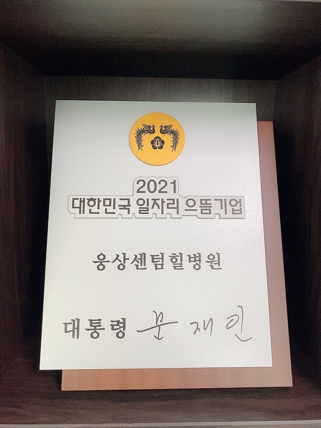 대한민국 일자리 으뜸기업 인증패. *재판매 및 DB 금지