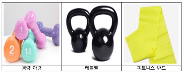 [서울=뉴시스]한국소비자원이 29일 공개한 시중 홈트레이닝 26개 제품 대상 안전성 조사 결과, 경량 아령 10개 중 7개에서 프탈레이트계 가소제(DEHP, DBP)가 검출됐다. (사진=한국소비자원 제공). 2021.07.29. photo@newsis.com *재판매 및 DB 금지