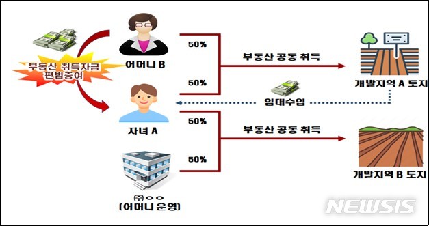 [세종=뉴시스] 어머니에게 편법 증여받아 수십억원어치 개발지 토지를 사들인 A씨의 사례. (자료=국세청 제공)