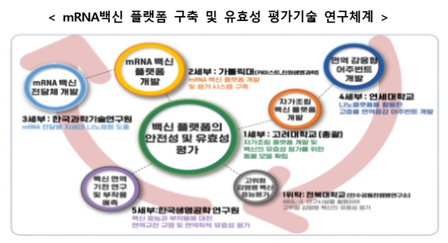 과기부, mRNA 백신 핵심기술 국산화 등 연구에 4년간 74억 투자