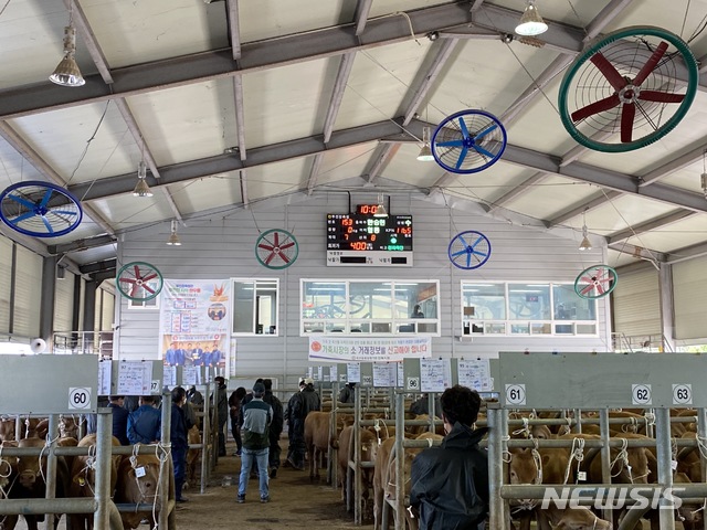 [장수=뉴시스]윤난슬 기자 = 전북 장수군은 장계 가축시장에 가축 방역과 감염병 예방을 위한 비대면 거래 중심의 '스마트 경매시스템 구축사업'을 추진한다고 30일 밝혔다.(사진=장수군 제공) 