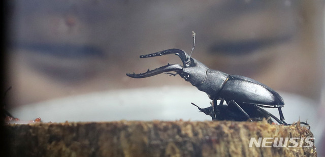 [뉴시스Pic] 사진으로 본 일주일