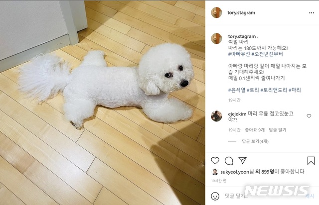 [서울=뉴시스]김승민 기자 = 윤석열 전 검찰총장의 반려견 전용 SNS '토리스타그램'. 2021.08.04.(사진=인스타그램 캡처) 