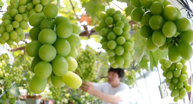 *재판매 및 DB 금지